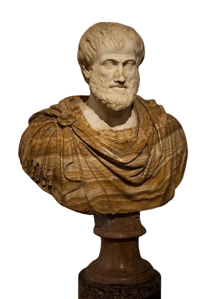 image 2024 08 11 232056003 removebg preview