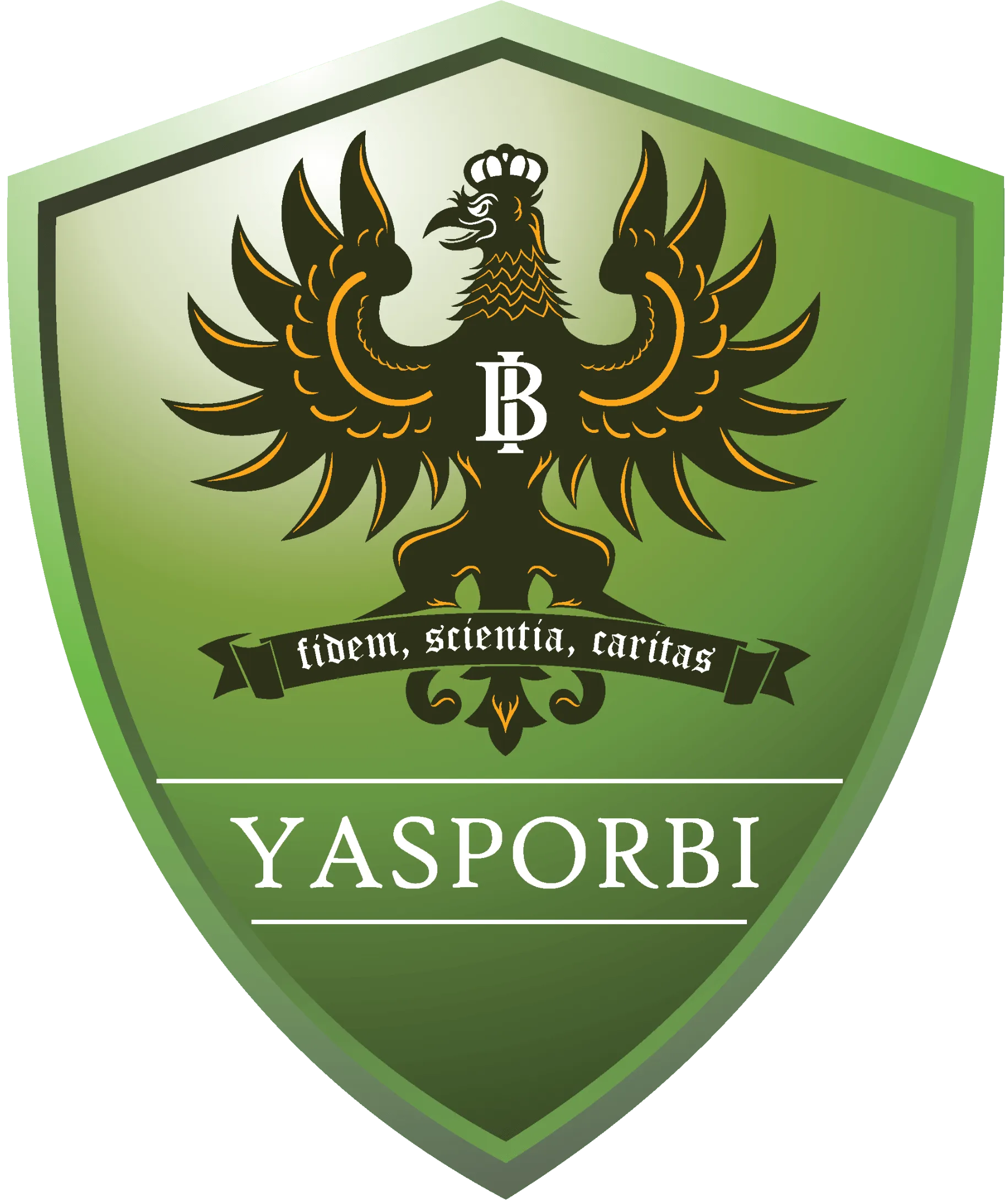 image 2024 08 15 142201189