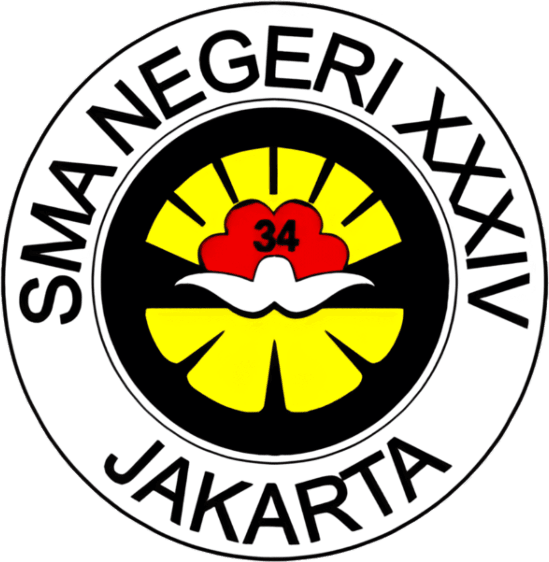 image 2024 08 15 143036006